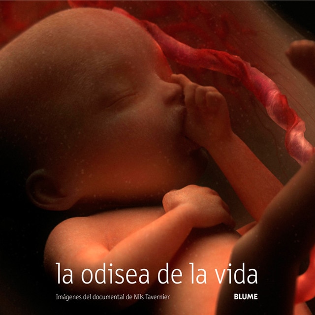 La odisea de la vida.pdf