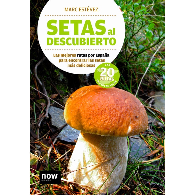 Setas al descubierto (Tapa blanda)