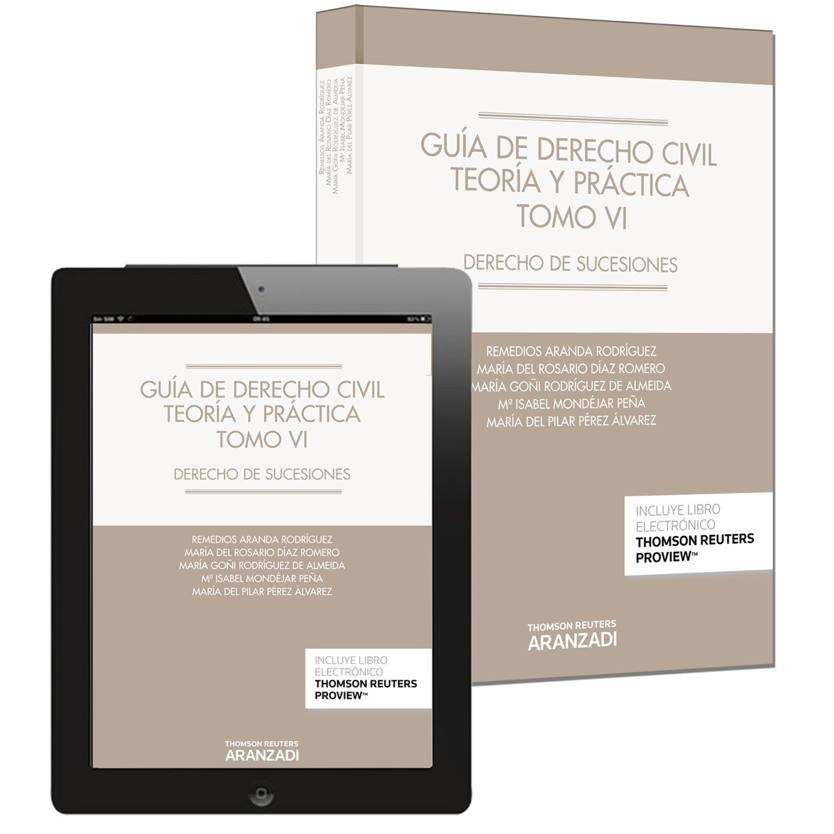 Guía de Derecho Civil. Teoría y práctica : Derecho de sucesiones