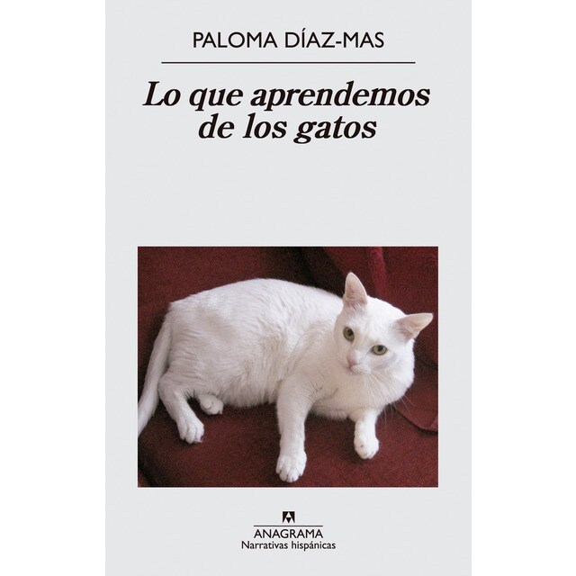 Lo que aprendemos de los gatos.pdf