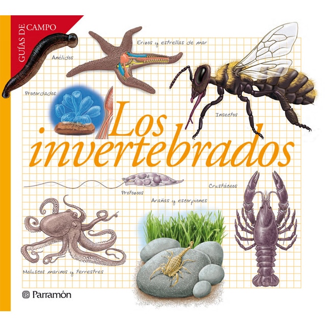 Los invertebrados.pdf
