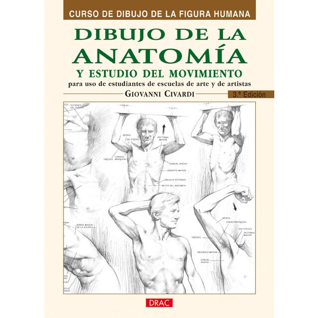 Dibujo de la anatomía.pdf