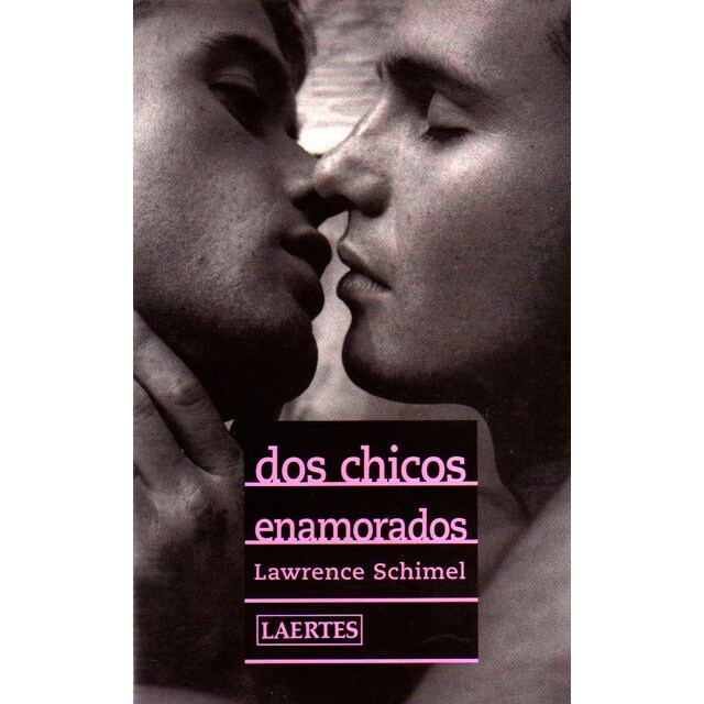 Dos chicos enamorados (Tapa blanda)