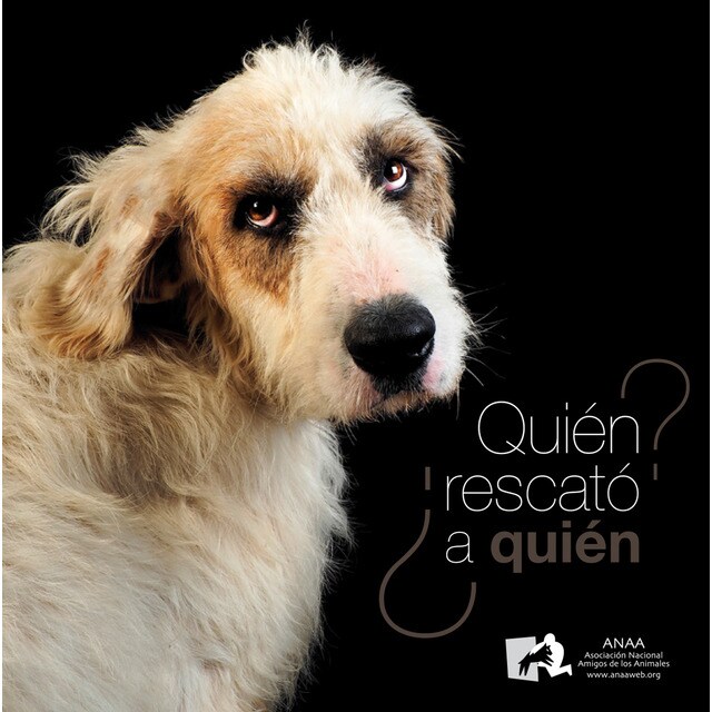 ¿quién rescató a quién?.pdf