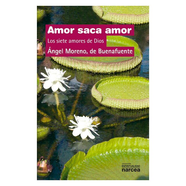 Amor saca amor.pdf