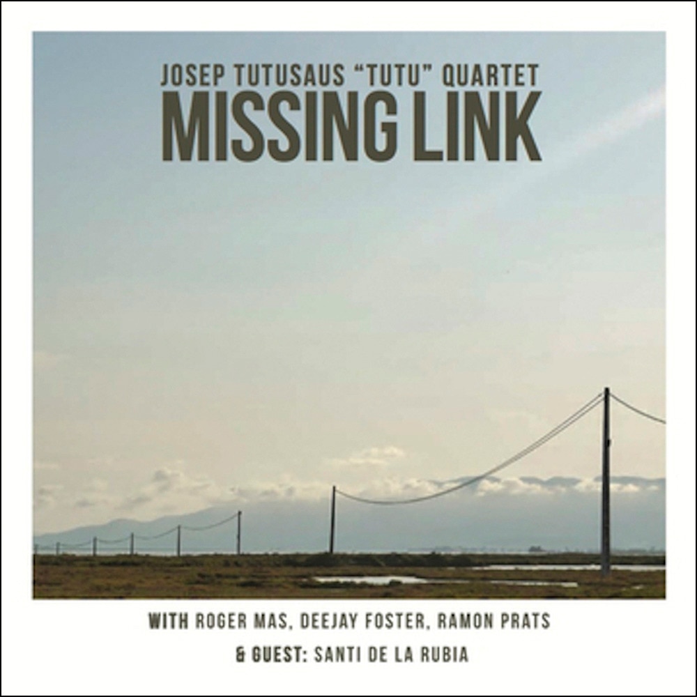 Missing link (CD)