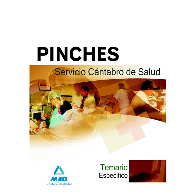 Pinches del servicio cantabro de salud. Temario específico.pdf