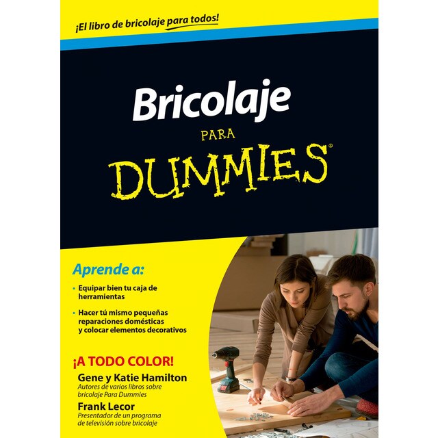 Bricolaje para dummies.pdf