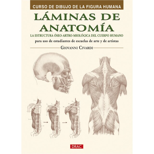 Láminas de anatomía.pdf