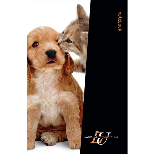 Gato/perro.pdf