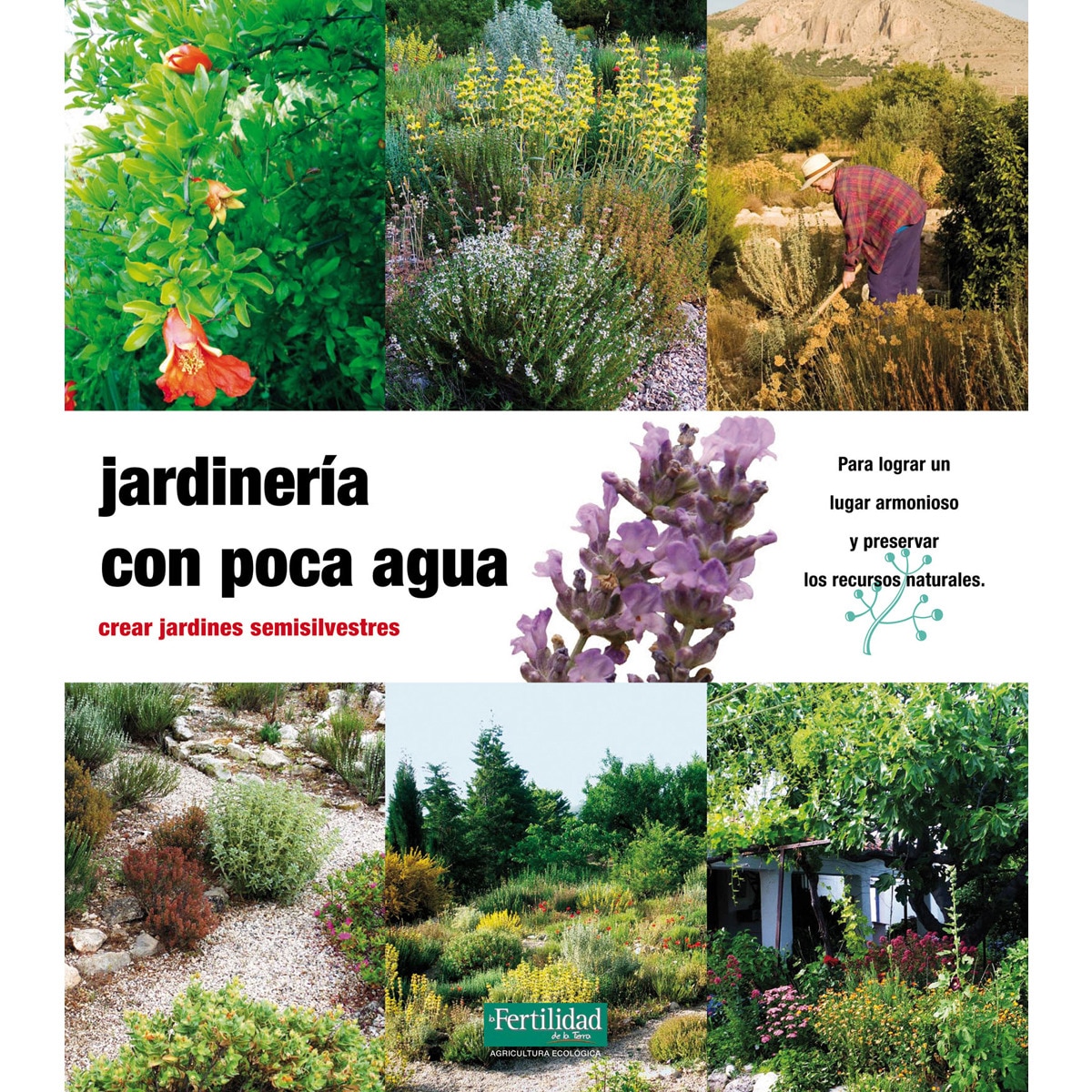 Jardinería con poca agua: Crear jardines semisilvestres