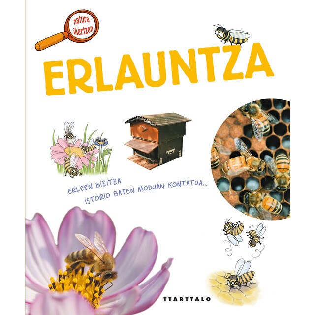 Erlauntza