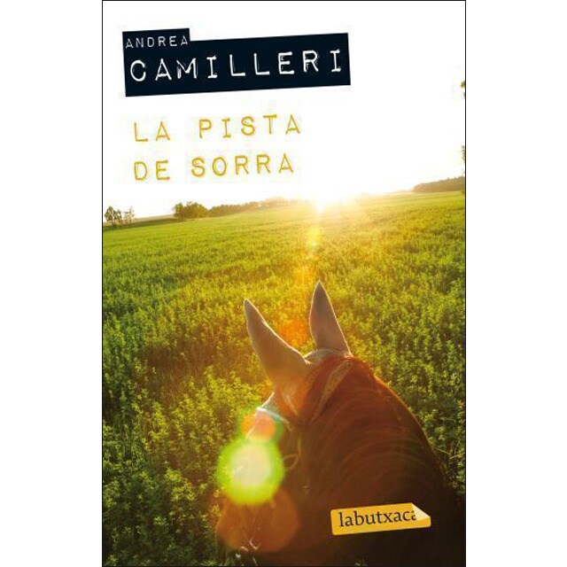 La pista de sorra
