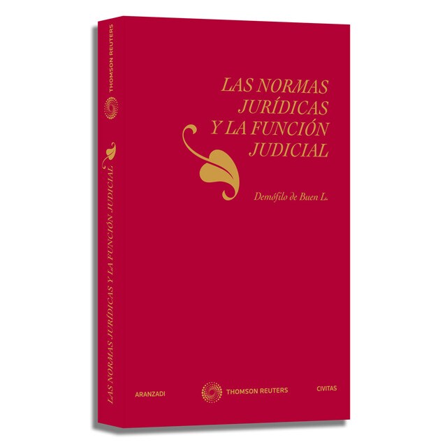 Las normas jurídicas y la función judicial.pdf
