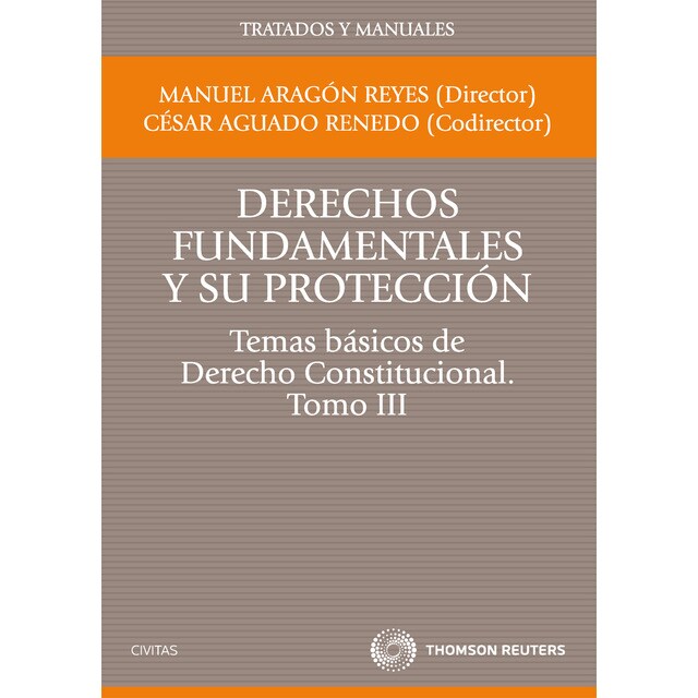Derechos fundamentales y su protección. Temas básicos de derecho constitucional. Tomo iii.pdf