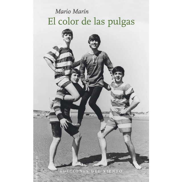 Salustio nogueira.pdf