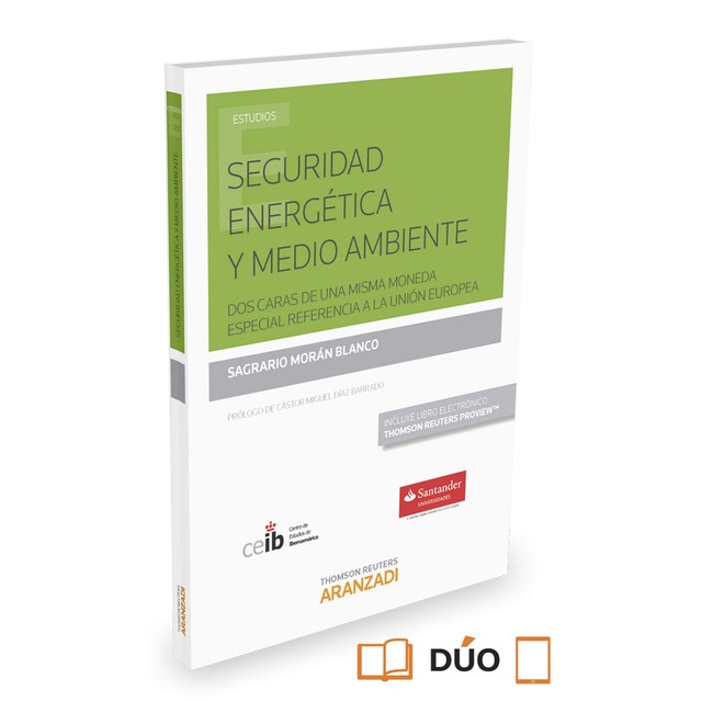 Seguridad energética y medio ambiente.pdf