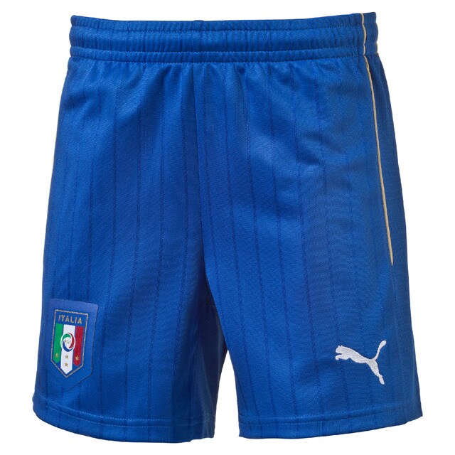 puma shorts mens 2016