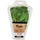 HERBEX Pfefferminze Karton 20 g