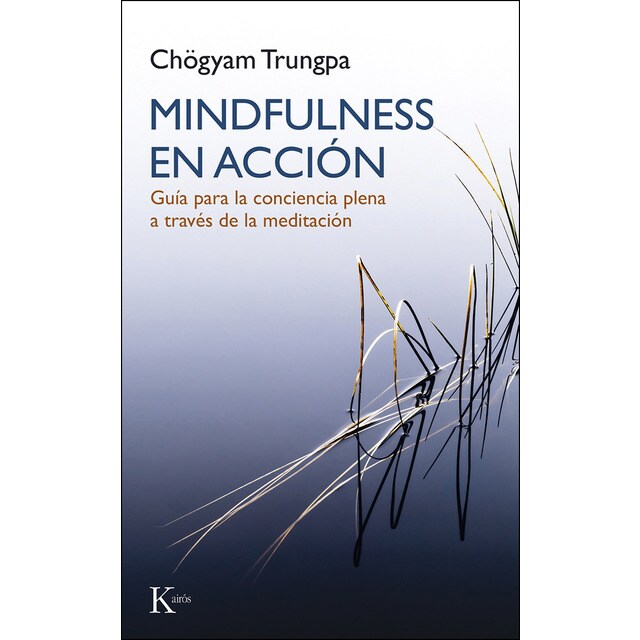 Mindfulness en acción.pdf