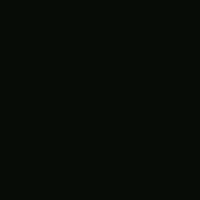 Black N1