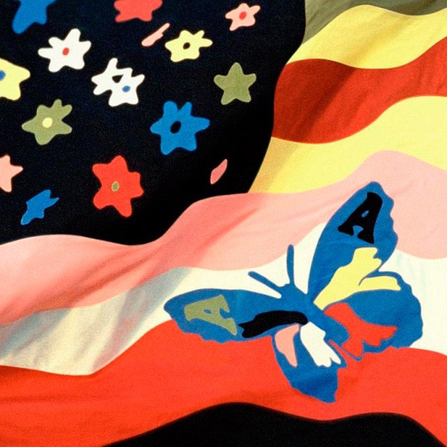 Wildflower (LP-Vinilo).
