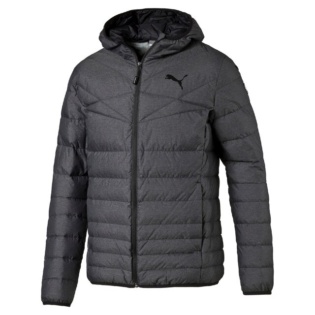 plumas puma hombre plumas puma hombre