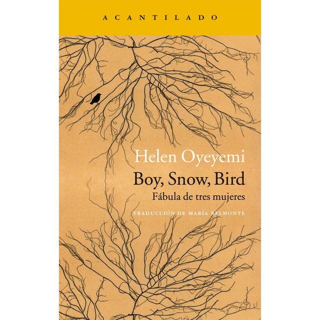 Boy snow bird (Bolsillo)