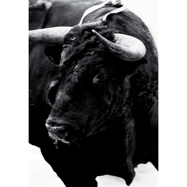 Sangre de reyes.pdf