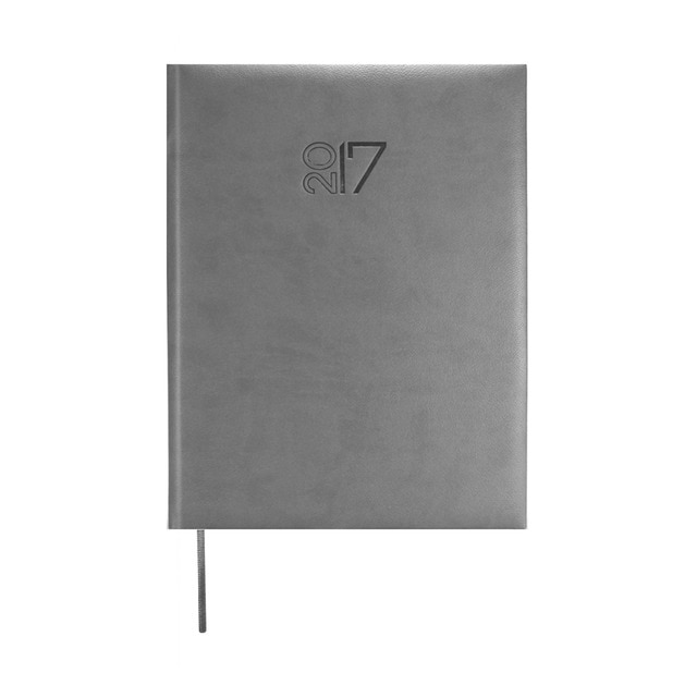 Agenda Journalier 2023: Planificateur Professionnel Grand Format A4 | 1