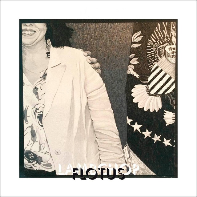 Flotus (LP-Vinilo).
