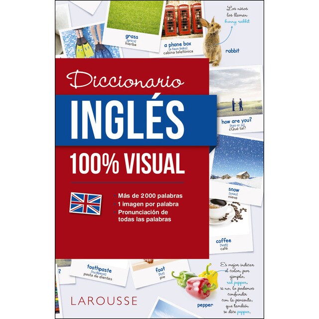 Diccionario de inglés 100% Visual (Tapa blanda con solapas)