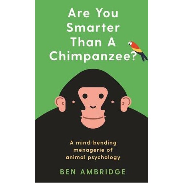 Are you smarter than a chimpanzee?