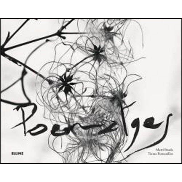 Poematges.pdf