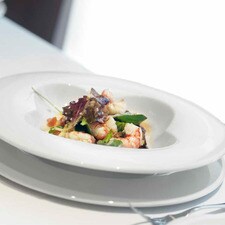 Sugerencias Gastronómicas