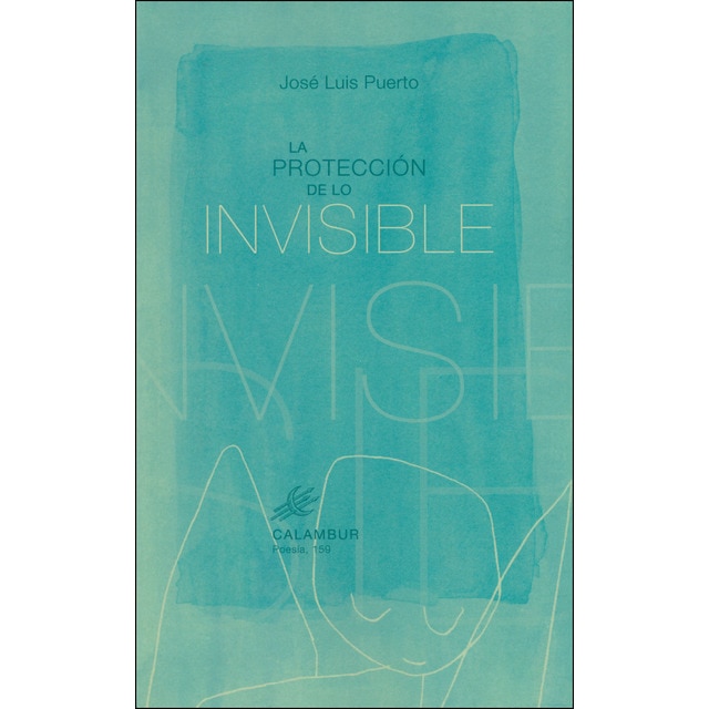 La protección de lo invisible.pdf