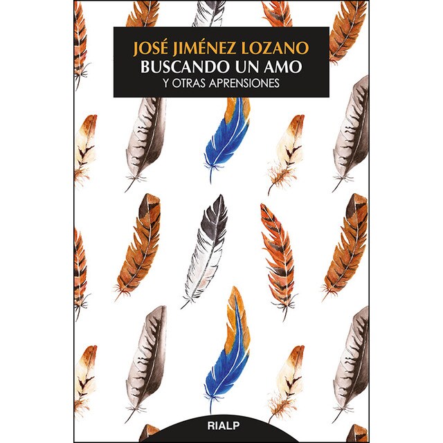 Buscando un amo: Y otras aprensiones.pdf