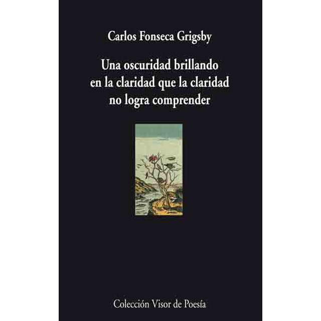 Una oscuridad brillando en la claridad que la claridad no logra comprender (Tapa blanda)