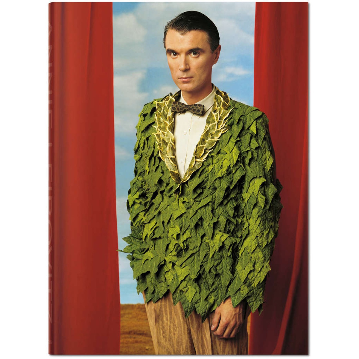 Imagem 0 de Annie Leibovitz With David Byrne