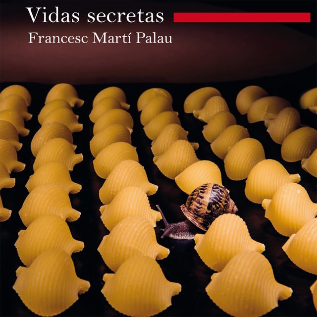Vidas secretas (Tapa blanda)