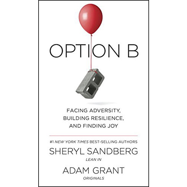 Option b: facing adversity building resistance and