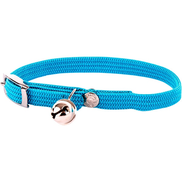 Turquoise cat outlet collar