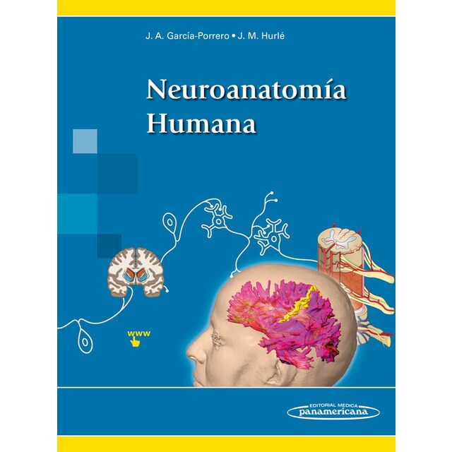 Garcia-porrero:neuroanatoma humana.pdf