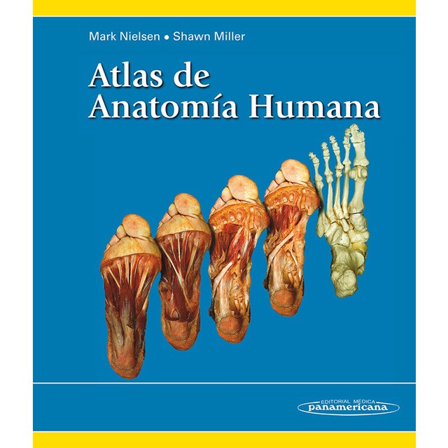 Atlas de anatomía humana.pdf
