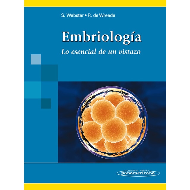 Webster:embriolog'a: Lo esencial de un vistazo (Tapa blanda)