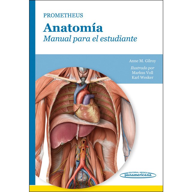 Gilroy:prometheus. Anatomia manual estud..pdf