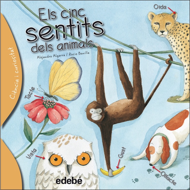 Els cinc sentits dels animals.pdf