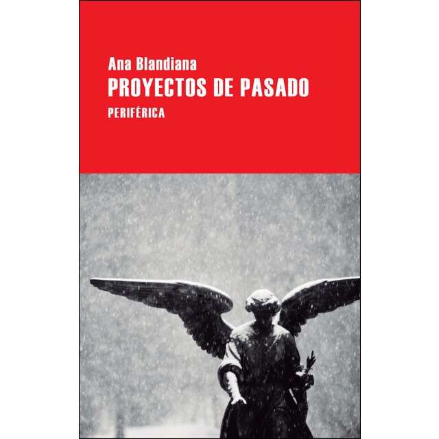 Proyectos de pasado.pdf
