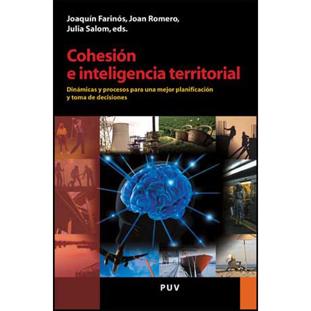 Cohesión e inteligencia territorial: Dinámicas y procesos para una mejor planificación y toma de decisiones.pdf