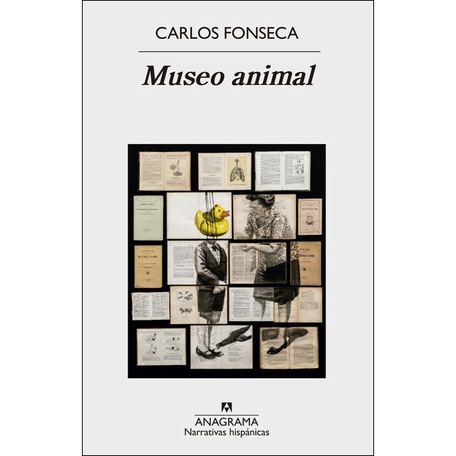 Museo animal.pdf